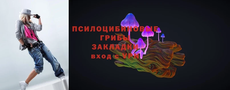 дарнет шоп  Армянск  Галлюциногенные грибы Magic Shrooms 